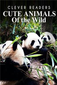 Cute Animals of The Wild