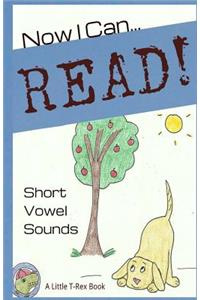 Now I Can Read! Short Vowel Sounds