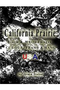 California Prairie Black & White Images Cut-out, Frame & Hang USA