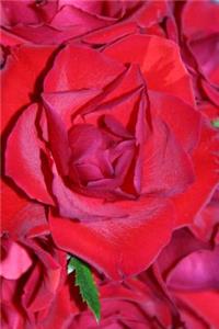 150 Page Lined Bunch Of Red Roses Journal