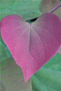 Lovely Pink Heart Shaped Leaf Nature Journal
