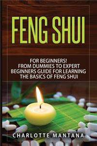 Feng Shui: For Beginners! from Dummies to Expert Beginners Guide for Learning the Basics of Feng Shui (Room Decorating Ideas, Feng Shui Map, Feng Shui House, Feng Shui for Home, Feng Shui Decorating)