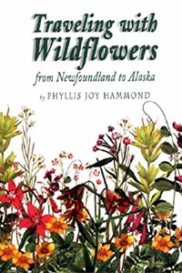 Travelling with Wildflowers