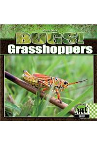 Grasshoppers