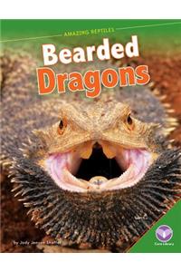 Bearded Dragons