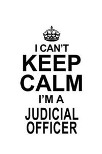 I Can't Keep Calm I'm A Judicial Officer