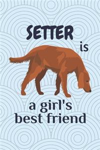 Setter is a girl's best friend