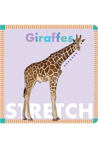 Giraffes Stretch