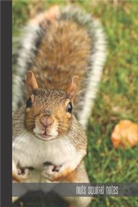 nuts squirrel notes