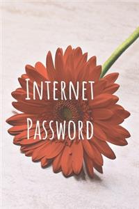 Internet Password
