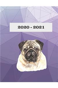 2020-2021
