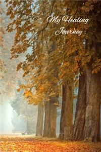 My Healing Journey