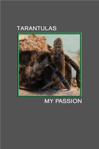 Tarantulas my Passion