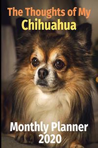 The Thoughts of My Chihuahua