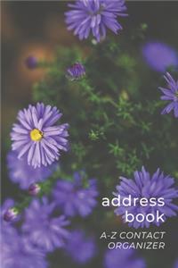 Address Book