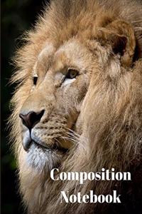 Composition notebook