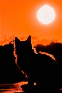 Kitty Cat at Sunset Journal