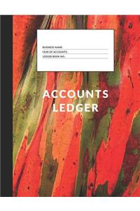 Accounts Ledger