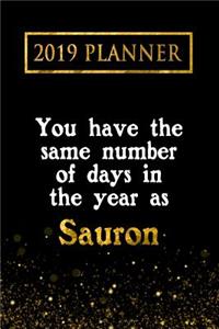 2019 Planner: You Have the Same Number of Days in the Year as Sauron: Sauron 2019 Planner