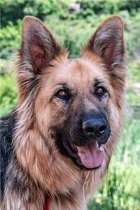 German Shepherd Dot Grid Notebook