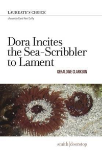 Dora Incites the Sea-Scribbler to Lament