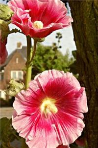 Pink Hollyhock Flowers in the Garden Journal