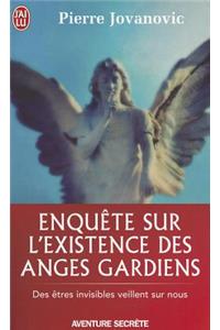 Enquete Sur L'Existence Des Anges Gardie