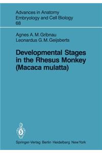 Developmental Stages in the Rhesus Monkey (Macaca Mulatta)