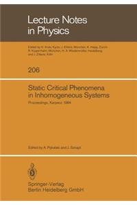 Static Critical Phenomena in Inhomogeneous Systems