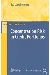 Concentration Risk in Credit Portfolios