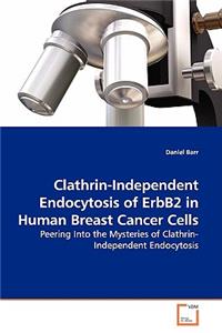 Clathrin-Independent Endocytosis of ErbB2 in Human Breast Cancer Cells