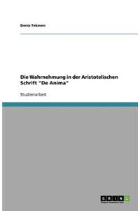 Die Wahrnehmung in der Aristotelischen Schrift De Anima