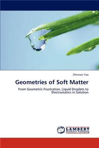 Geometries of Soft Matter