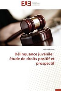 Délinquance Juvénile