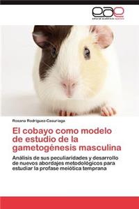 El Cobayo Como Modelo de Estudio de La Gametogenesis Masculina