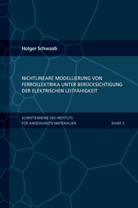 Nichtlineare Modellierung von Ferroelektrika unter Berücksichtigung der elektrischen Leitfähigkeit