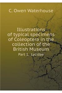 Illustrations of Typical Specimens of Coleoptera in the Collection of the British Museum Part 1. Lycidae