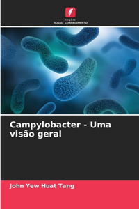 Campylobacter - Uma visão geral