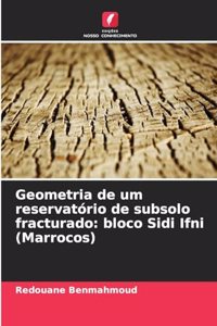 Geometria de um reservatório de subsolo fracturado