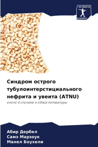 Синдром острого тубулоинтерстициальног&#