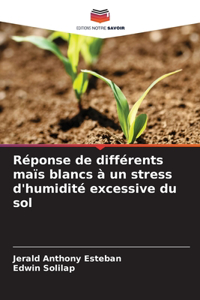 Réponse de différents maïs blancs à un stress d'humidité excessive du sol