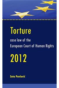Torture Case Law of the European Court of Human Rights - 2012