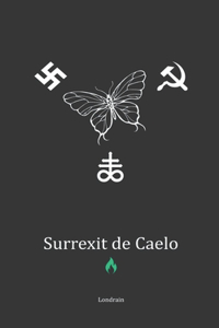 Surrexit de Caelo