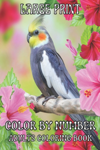 Large Print Color By Number Adults Coloring Book