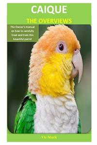 Caique The Overviews