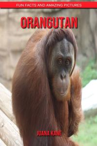 Orangutan