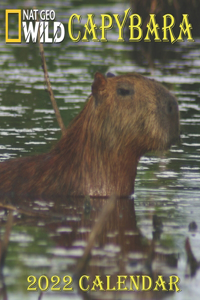 Capybara Calendar 2022