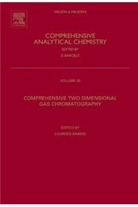 Comprehensive Two Dimensional Gas Chromatography