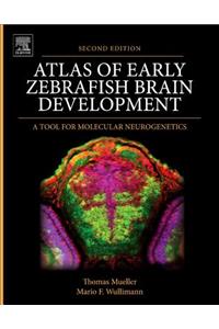 Atlas of Early Zebrafish Brain Development: A Tool for Molecular Neurogenetics