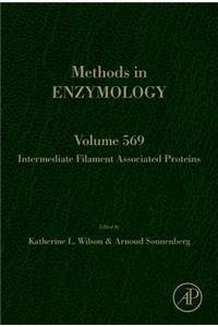 Intermediate Filament Associated Proteins